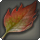 Red landtrap leaf icon1.png