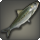 Rhotano sardine icon1.png
