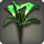 Green arums icon1.png