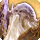 Ramuh card icon1.png