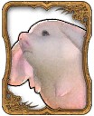 File:porxie card1.png