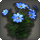 Blue cosmos icon1.png