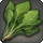 Young cieldalaes spinach icon1.png