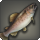 Cherry trout icon1.png
