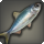 Fatty herring icon1.png