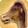 Dhalmel card icon1.png