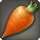 Gyr abanian carrot icon1.png