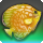 Python discus icon1.png