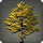 Autumnal ginkgo tree icon1.png