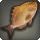 Hedonfish icon1.png