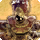 Thorne knight card icon1.png
