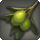 Cinderfoot olive icon1.png