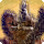Anima card icon1.png
