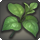 Persimmon leaf icon1.png