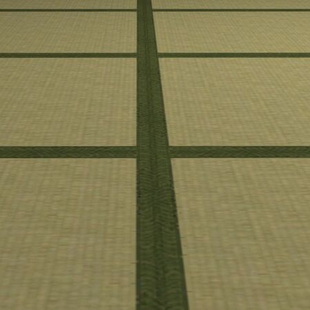 Tatami Flooring detail.jpg