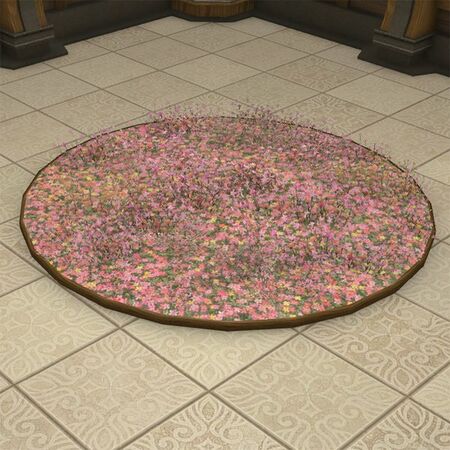 Carpet of Flowers.jpg