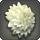 White dahlia corsage icon1.png