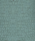 File:Celeste Green1.png
