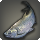 Silver characin icon1.png