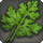 Tender dill icon1.png