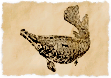 File:Alligator garfish.png