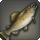 Watts trout icon1.png