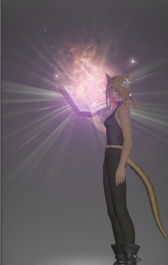 File:Replica of the Omnilex Novus inside.png