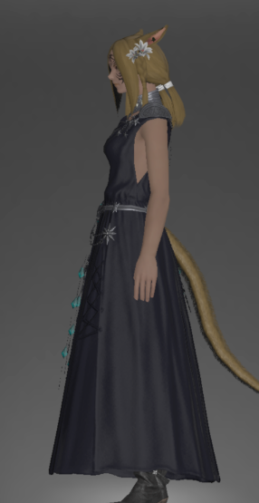 File:Weathered Soothsayer's Chiton left side.png