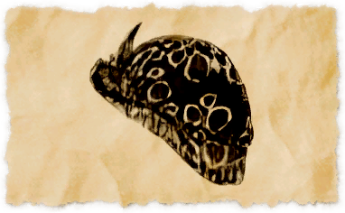 File:Jacketed snail.png