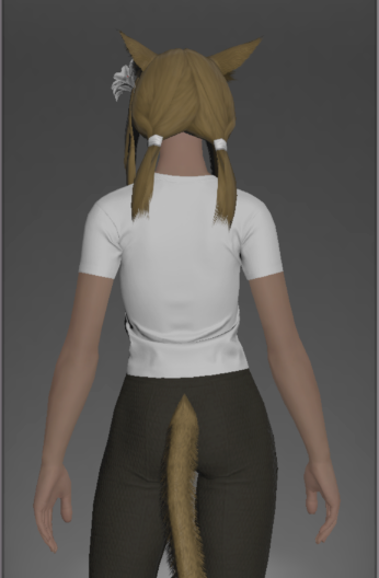 File:Form-fitting Plain Neotunic rear.png