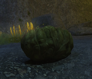 File:Morbol Fruit.jpg