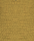 File:Desert Yellow.png