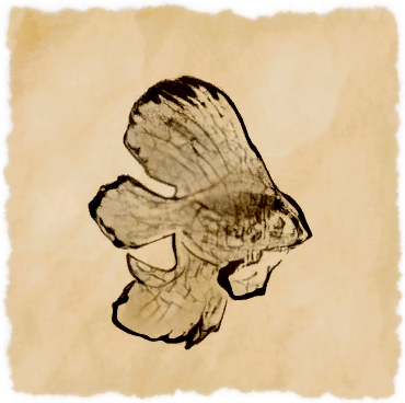 File:Gilded batfish.png