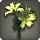 Yellow brightlilies icon1.png
