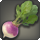 Garden beet icon1.png