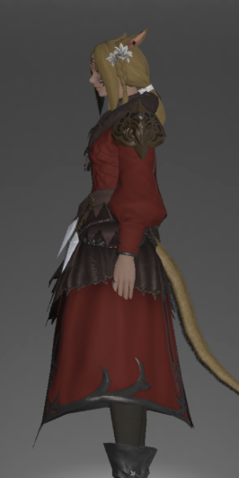 File:Diamond Coat of Aiming left side.png