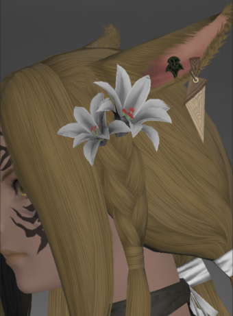 File:Bonewicca Earring of Aiming.png