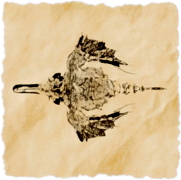 File:Little dragonfish.png