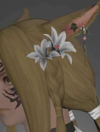 Warg Accessories (Grand Cosmos)