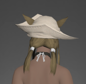 Plundered Cavalier's Hat rear.png