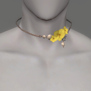Yellow Byregotia Choker