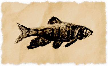 File:Gyr abanian chub.png