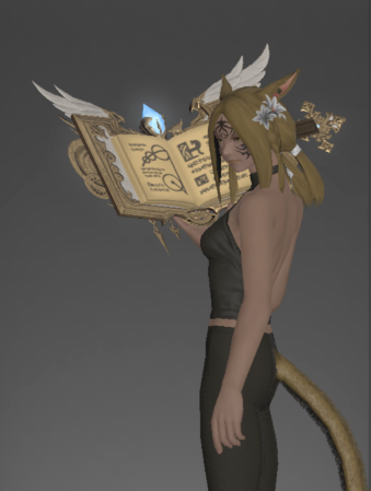 File:Last Resort inside.png