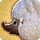 Lost lamb card icon2.png