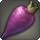 Purple carrot icon1.png