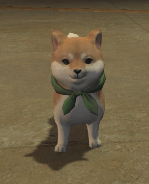 File:Mameshiba front.png