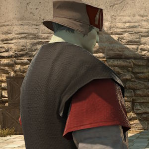 Roegadyn Merchant