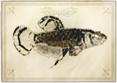 File:The sound of fury.png