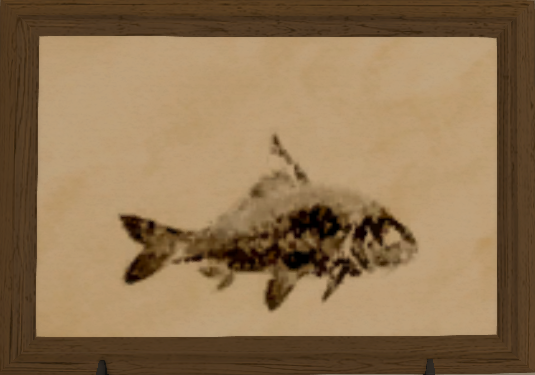 File:Comet Minnow print.png