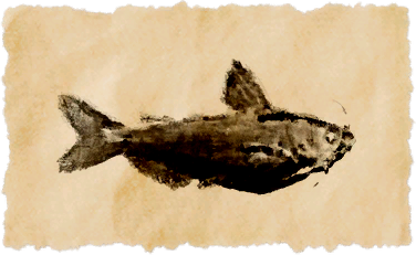 File:Driftwood catfish.png